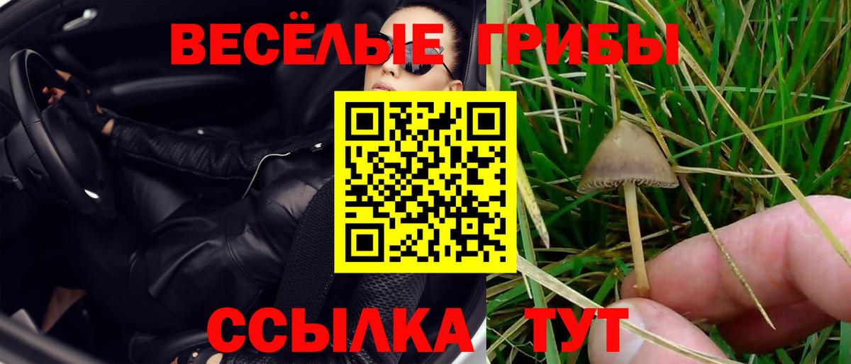 Псилоцибиновые грибы мицелий Донецк